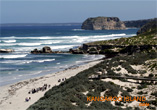 Seal Bay - Kangaroo Island