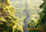 Flinders Chase National Park - Kangaroo Island