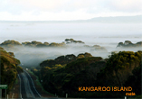 Misty Morning - Kangaroo Island